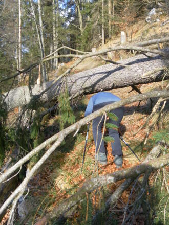 Hindernis am Westflankensteig