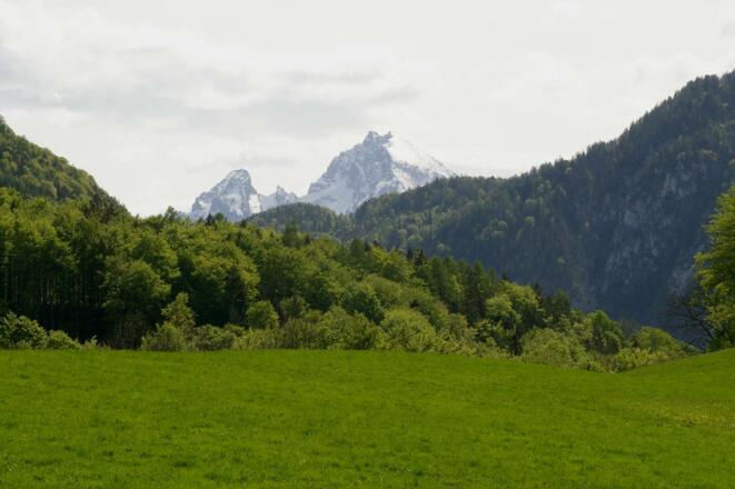Leistungsvariante Steinerweg