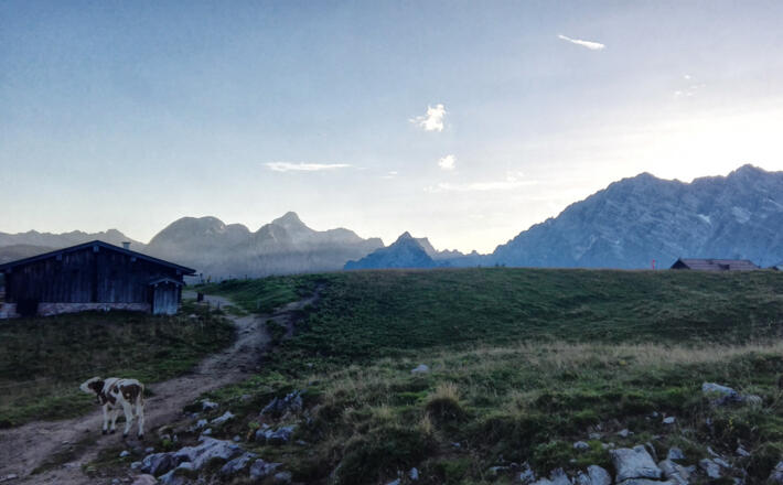 Steinerne Agnes von unten gesehen
