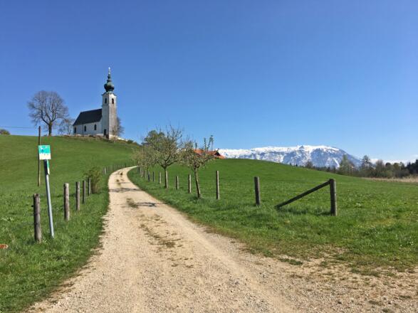 Ausblick am Johannishögl