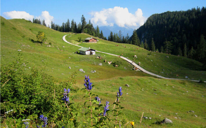 Berchtesgadener Land Bikerunde - Abschnitt I