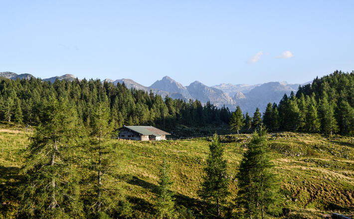 Kaser auf der Gotzenalm
