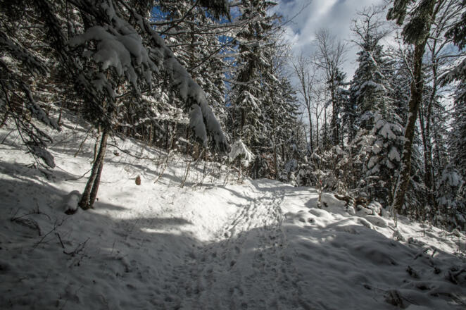 Wintewanderung zur MArxenhöhe