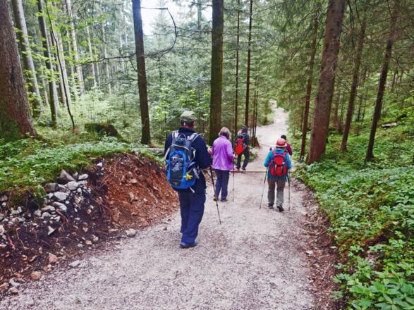 Abstieg zum Königssee