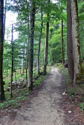 Auf dem Maximilianreitweg