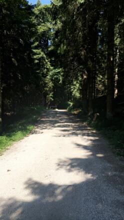 Wanderweg 