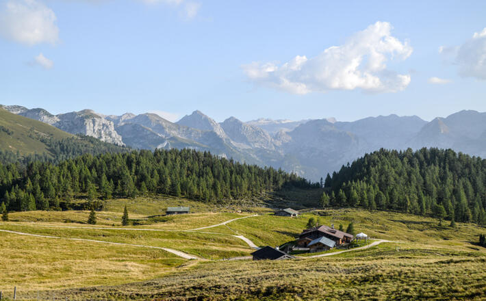 Blick über die Gotzenalm Richtung Hochkönig