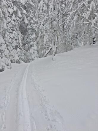 Waldskitour aufs Rossfeld 