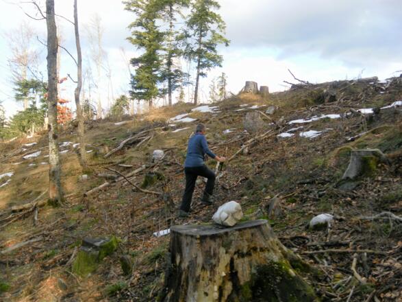 am Rand des Gipfelplateaus