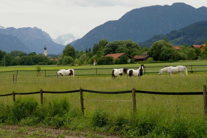 Freilassinger Radrundweg