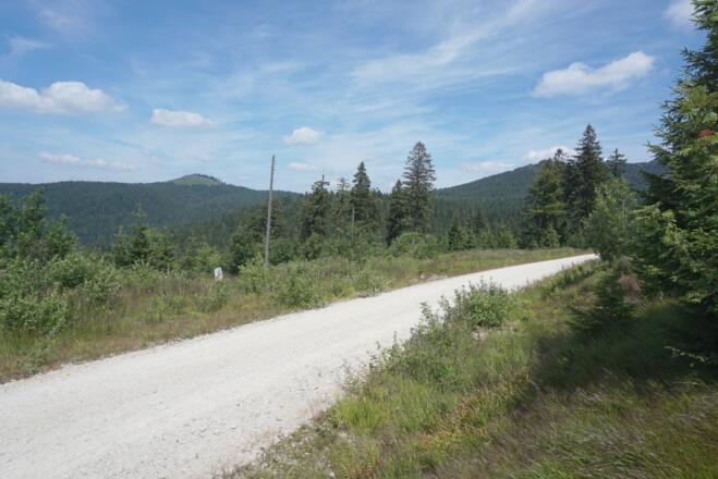 Kleiner Arber von der Auerhahnstraße