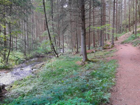Aitnach mit Trail/Wanderweg durch das Liebestal