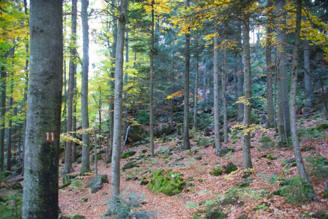 Vor dem Hochsteinanstieg