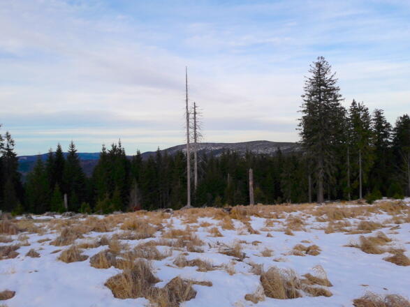 Blick zum Lackenberg