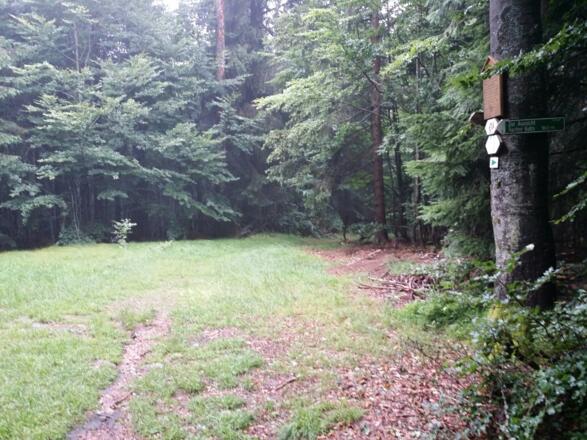 Weg an der Lichtung vorbei