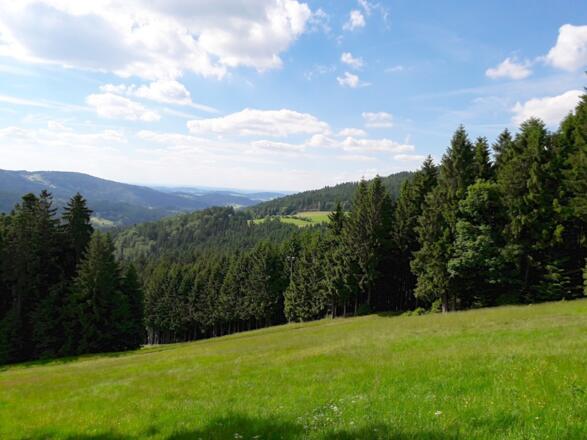 Aussicht von Pröller-Skiabfahrt