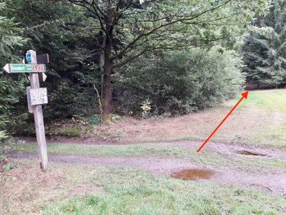 Abzweigung rechts bergauf am Ende einer Waldwiese