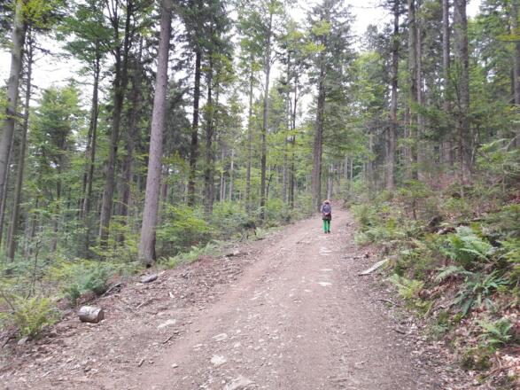 Weg zum Heugstatt-Gipfel