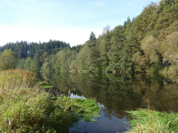 Schwarzer Regen in Bayerisch Kanada
