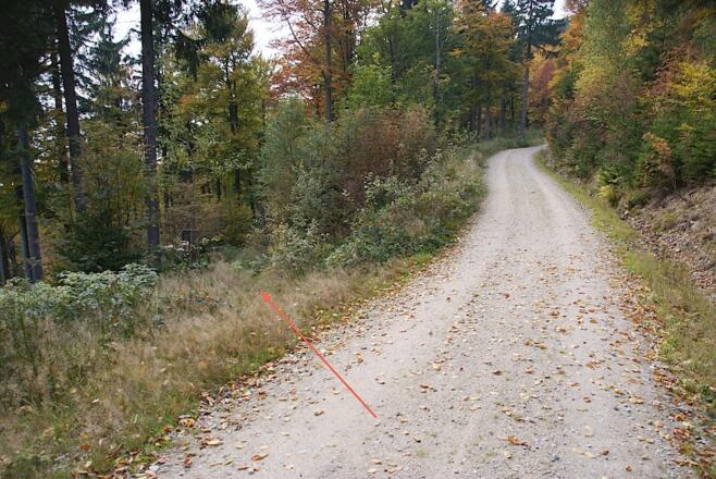 Abzweigung links zum Hochstein