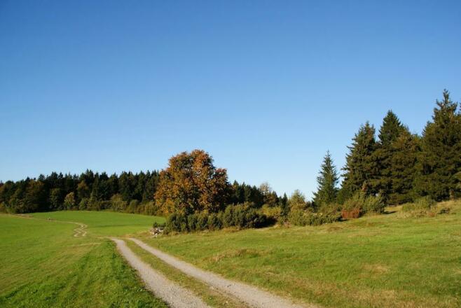 Wacholderheide bei Hinterwies