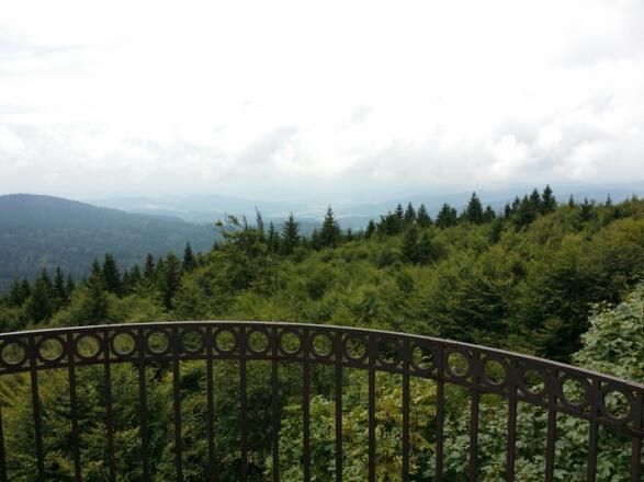 Blick vom Hirschenstein Richtung Rauher Kulm