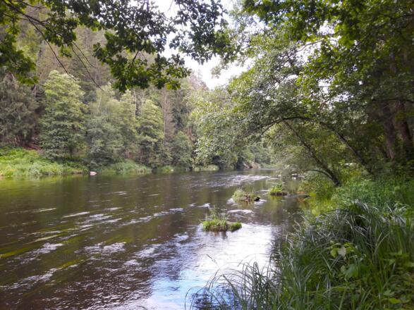 Schwarzer Regen gegen Ende des Flußweges