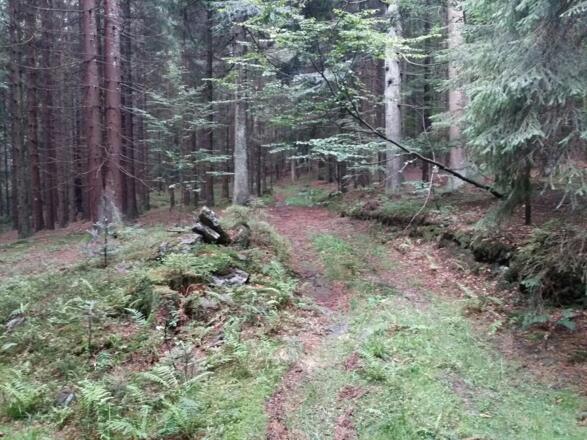 Auf dem naturbelassenem Rückweg