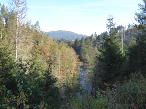 Blick hinab auf den Schwarzen Regen