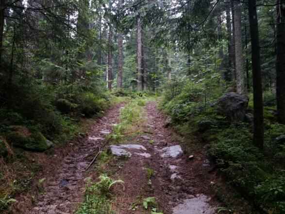 Ansteigender Weg vom Parkplatz