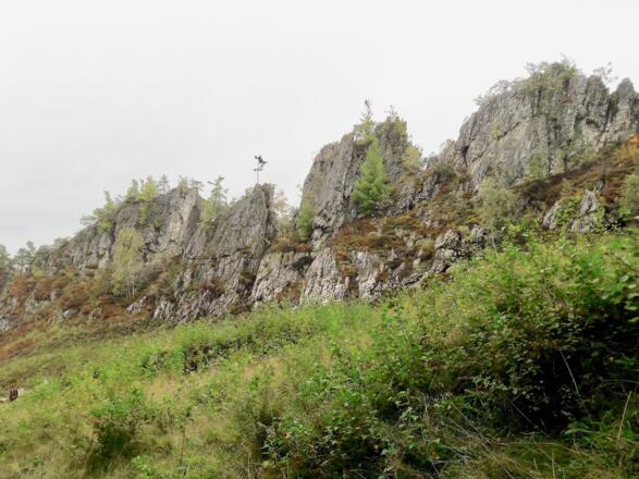 Pfahl im Abstieg zum Ausgangspunkt