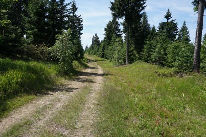 Letzter Anstieg des Panoramaweges