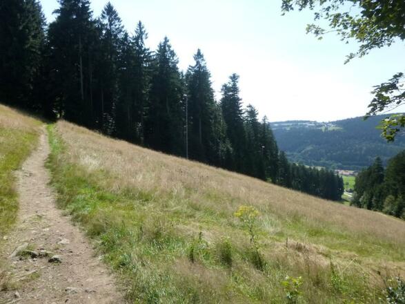 Singletrail durch die Pröller-Skiabfahrten