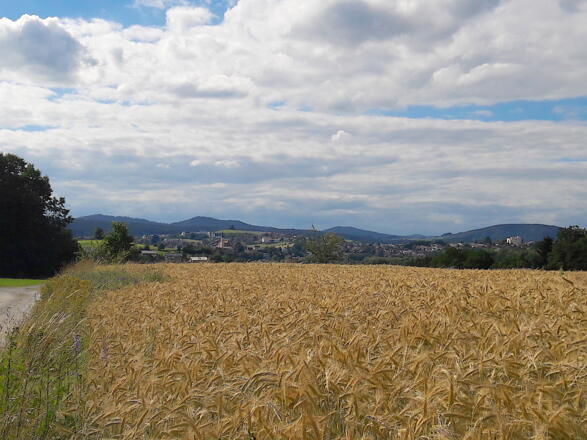 Blick nach Viechtach gegen Ende der Tour