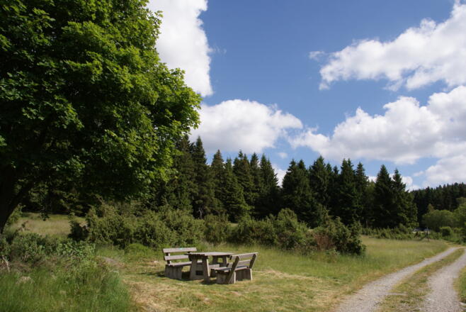 Wacholderheide bei Ahornwies