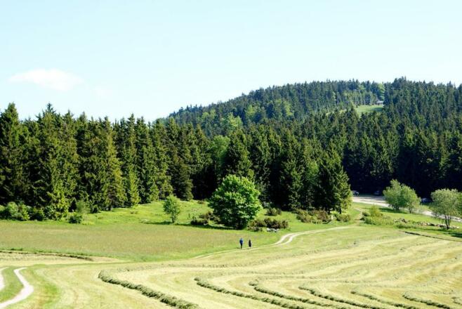Blick zur Wacholderheide mit Pröller im Hintergrund