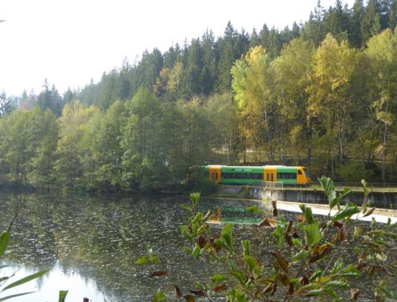 Die Waldbahn bringt uns wieder zurück