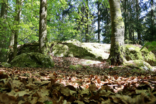 Ausblick auf der Tour