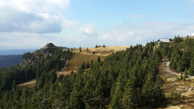 Blick vom Großen Arber auf Höhenplateau