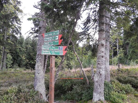 Schilderbaum - hier biegen wir rechts ab