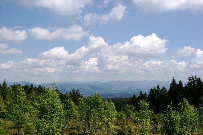 Aussicht kurz vor St. Englmar-Predigtstuhl zum Großen Arber