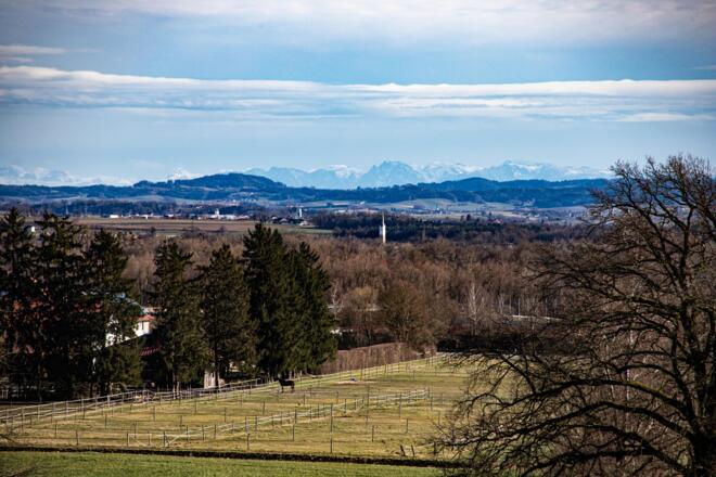 Malching mit Alpenpanorama