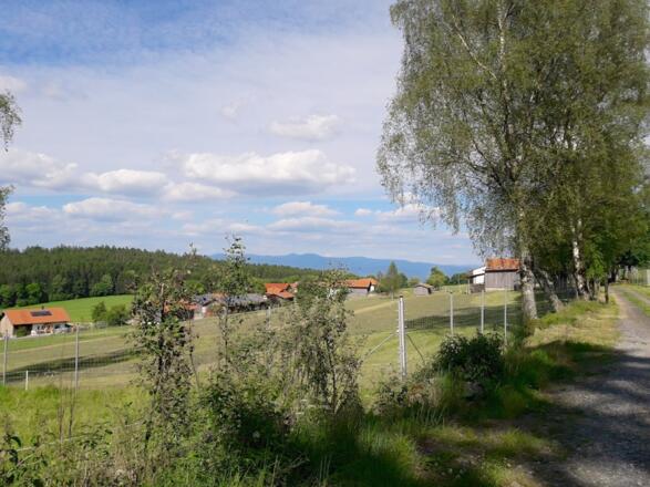 Blick nach Münchshöfen