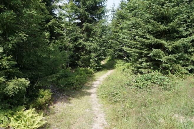 Trail nach Bayerisch Eisenstein