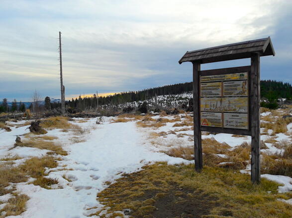 Nationalpark-Infotafel am Erlebnisweg &quot;Windwurf&quot;