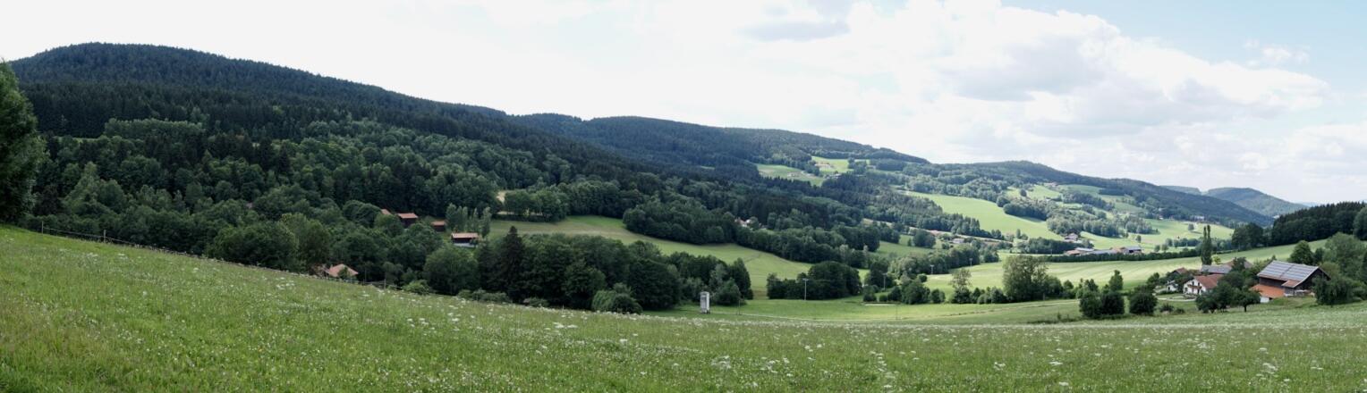 Blick ins Riedsbachtal bei Bach