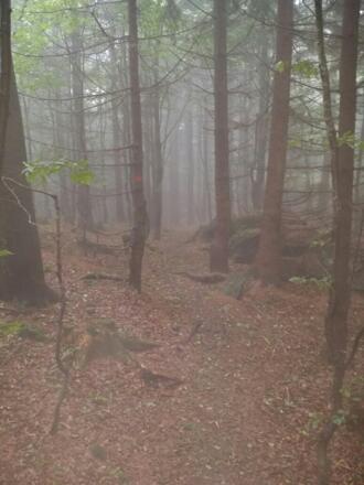 Vom Rauhen Kulm zum Hirschenstein
