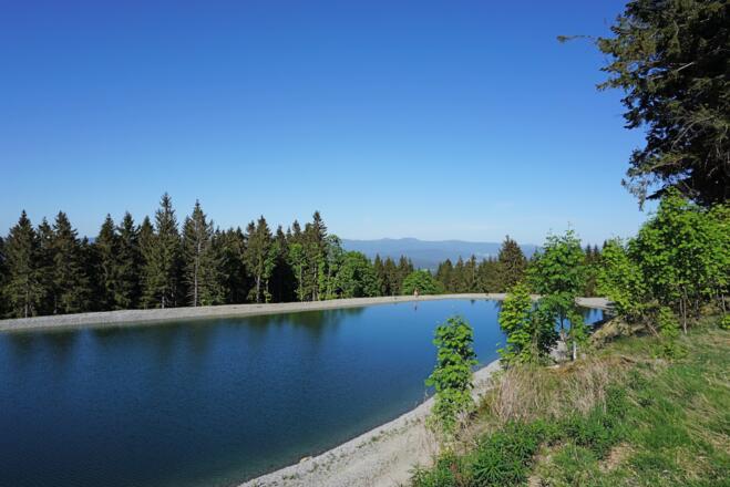 Beschneiungsweiher bei Hohenried mit Gr. Arber