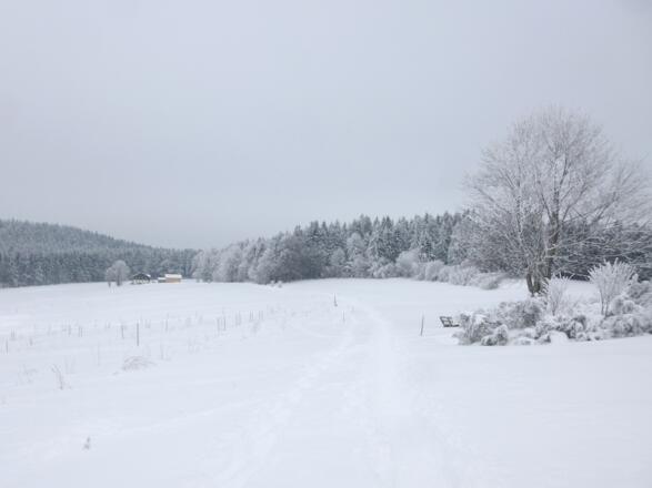 Beginn bei Ahornwies - rechts Wacholderheide