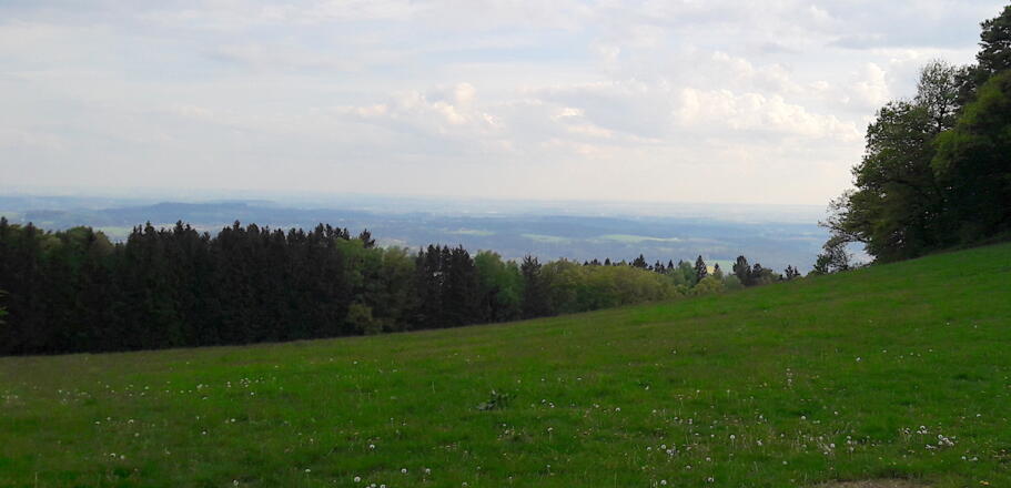Blick vom Gallner-Kreuz zur Donauebene mit Bogenberg